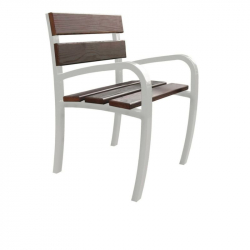 Fauteuil jardin public bois et acier blanc