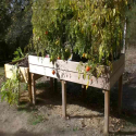 Table potagère pour jardin partagé