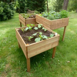 Tables potagères en bois en lot de 3 dans un jardin partagé