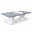 Table de ping-pong fixe en composite gris clair